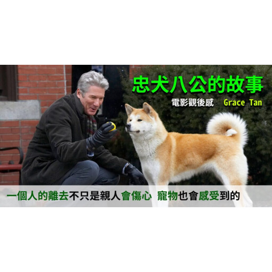  忠犬八公的故事