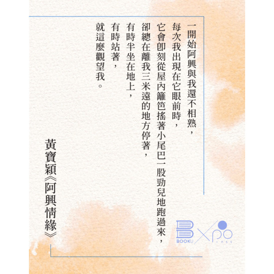 《阿興情緣》