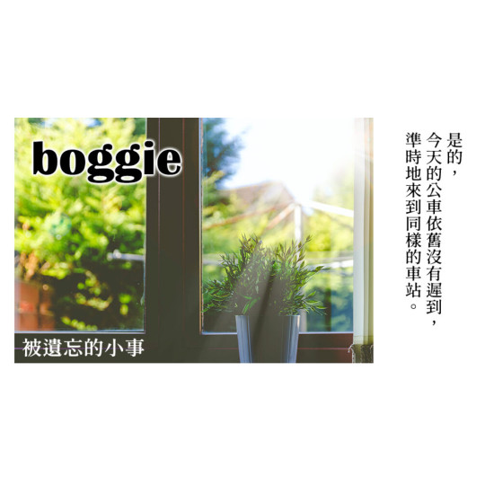 boggie